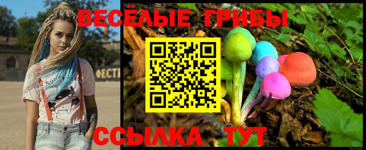 Кириши  Псилоцибиновые грибы прущие грибы  Вход с VPN 