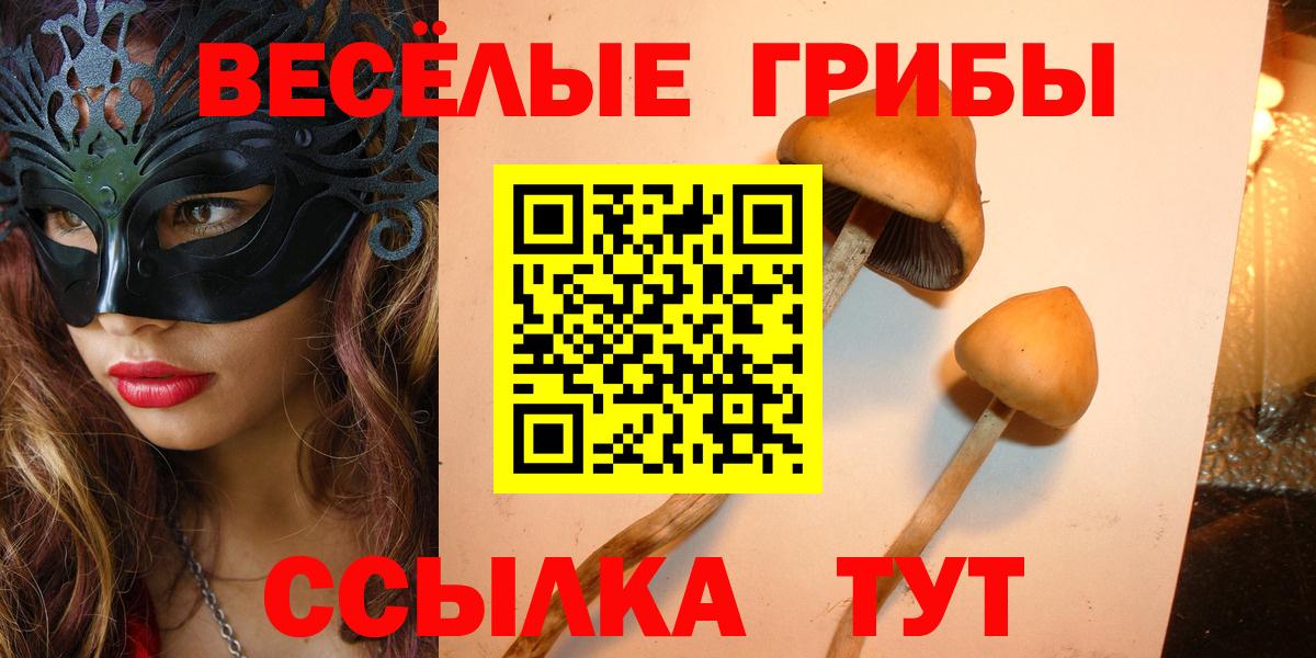 ГАШ Кириши
